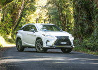 IMAGE - RX 350 F Sport, front three-quarter parked in forest setting